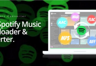 Pazu Spotify Music Converter Full Güncel İndir